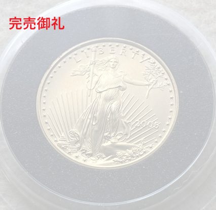 【地金価格以下】2005年 アメリカ 10ドル金貨（8.463g 91.67％）自由の女神 未鑑定品！