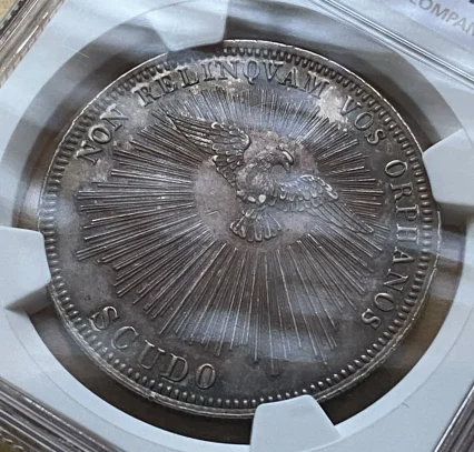 1846年 教皇領 セデ・ヴァカンテ スクード銀貨 教皇空位期 稀少 NGC MS62！