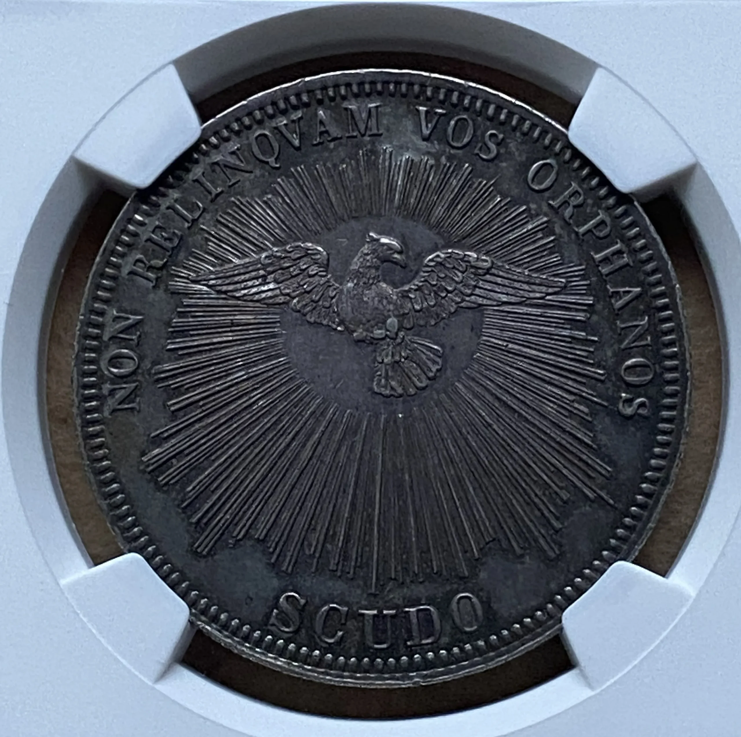 1846年 教皇領 セデ・ヴァカンテ スクード銀貨 教皇空位期 稀少 NGC MS62! - 画像 (3)