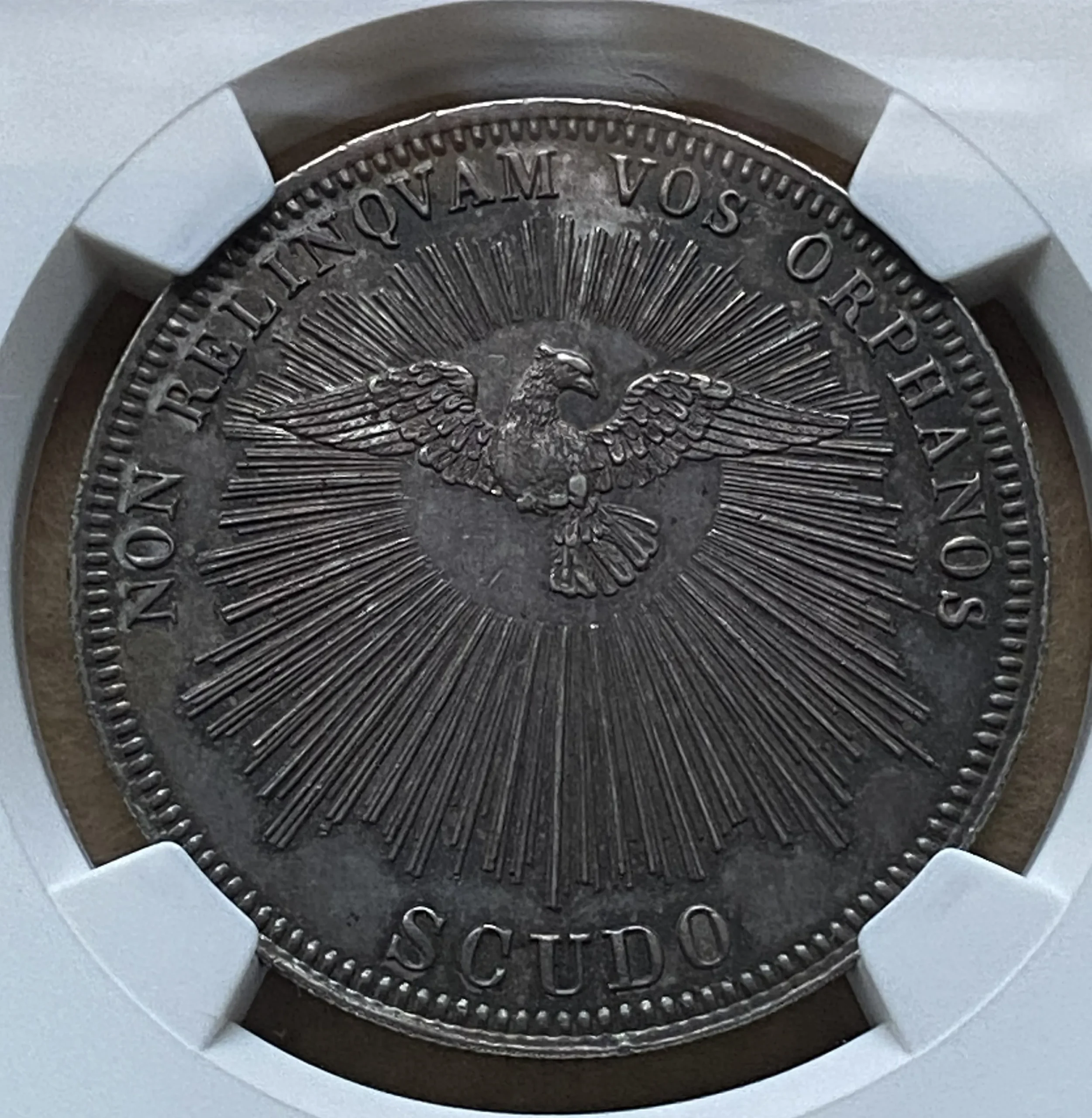 1846年 教皇領 セデ・ヴァカンテ スクード銀貨 教皇空位期 稀少 NGC MS62! - 画像 (4)