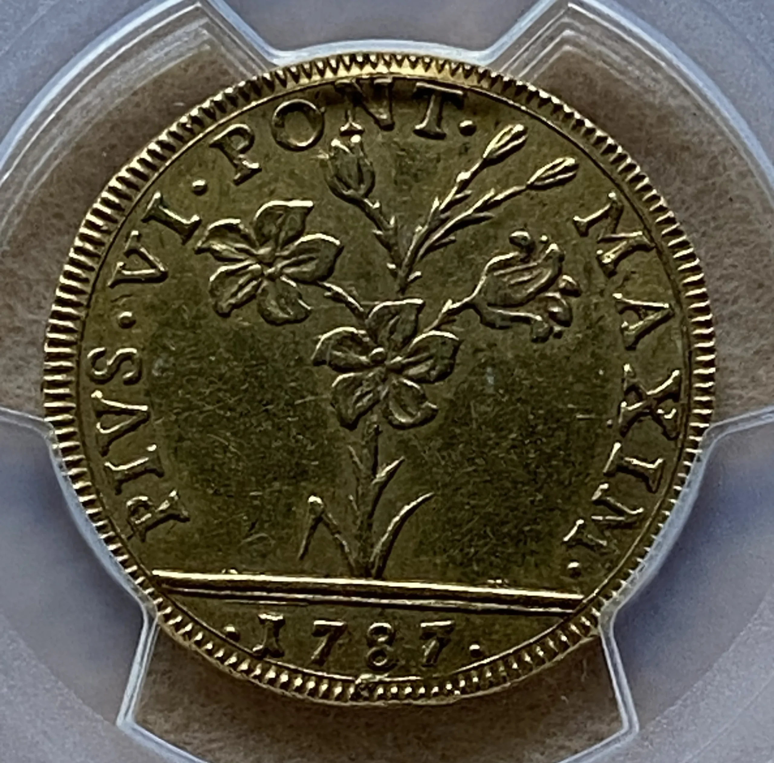 1787年 イタリア 教皇領ボローニャ 2ドッピア金貨 教皇ピウス6世 AU53 PCGS唯一鑑定品 稀少! - 画像 (3)