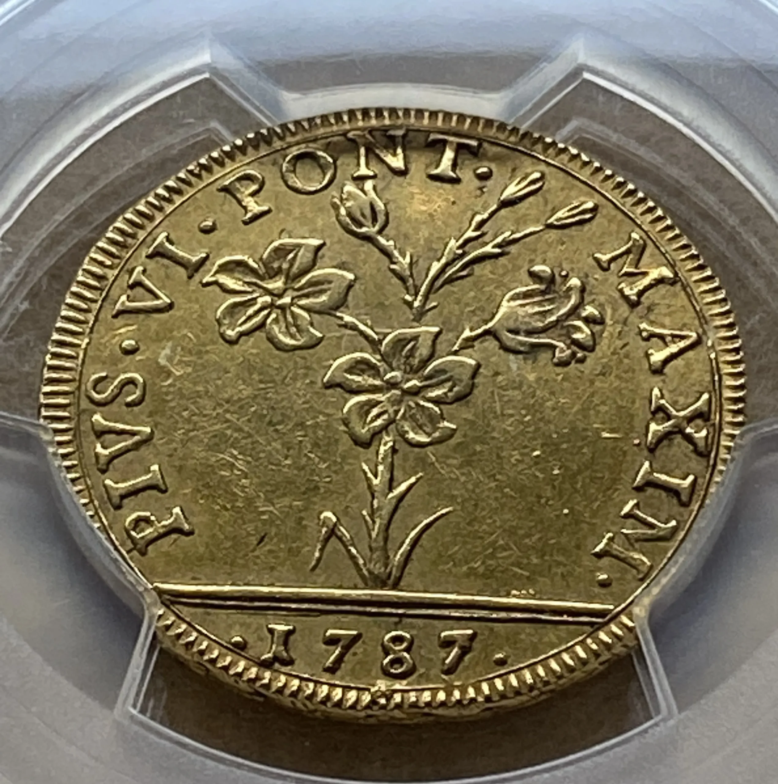 1787年 イタリア 教皇領ボローニャ 2ドッピア金貨 教皇ピウス6世 AU53 PCGS唯一鑑定品 稀少! - 画像 (4)